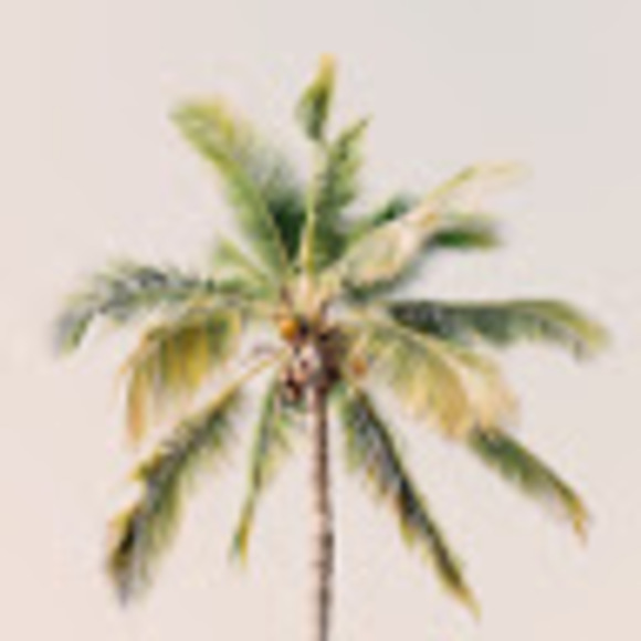 Meet your Posher, Rose - Picture 1 of 1